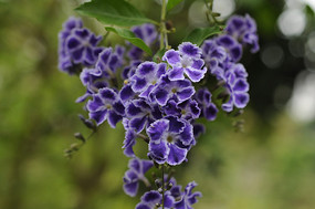 �����̵Ļ���