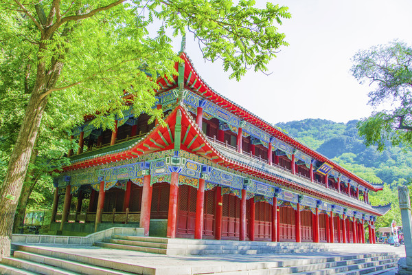 ǧɽ�����۴ȸ���