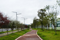 �̻�����