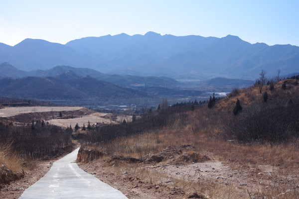 �ų�����ַ