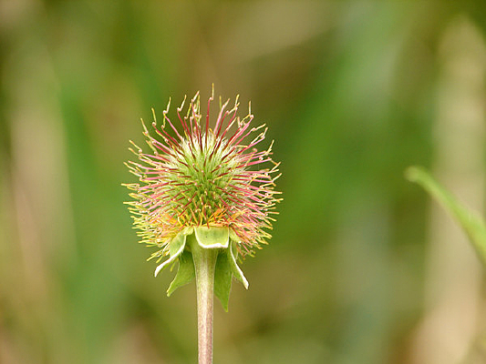 ·���໨��