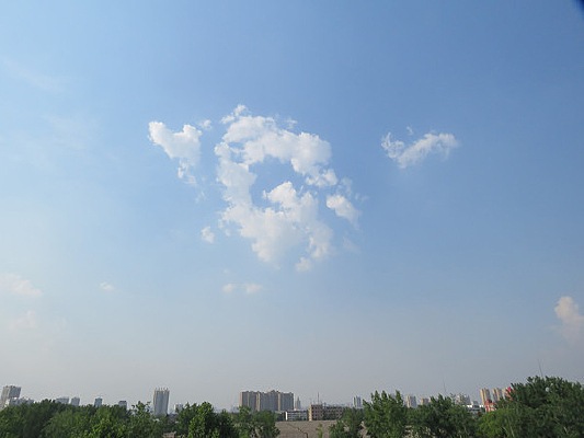 ʵ���������