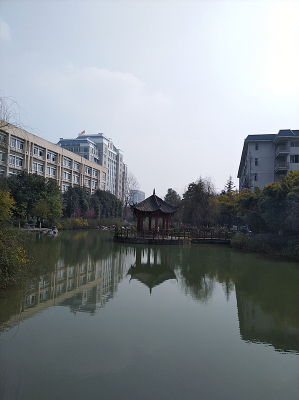 ˮ�е�ѧУ��Ӱ