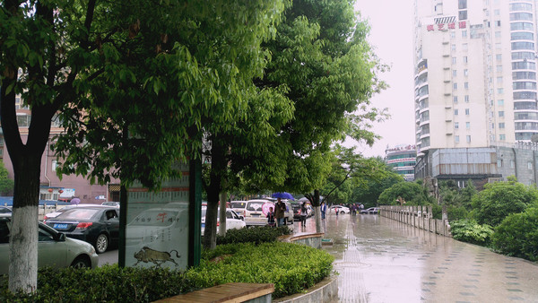 �ٻ��³��̻�