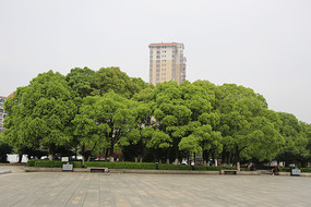 �̻����ֵ����й㳡