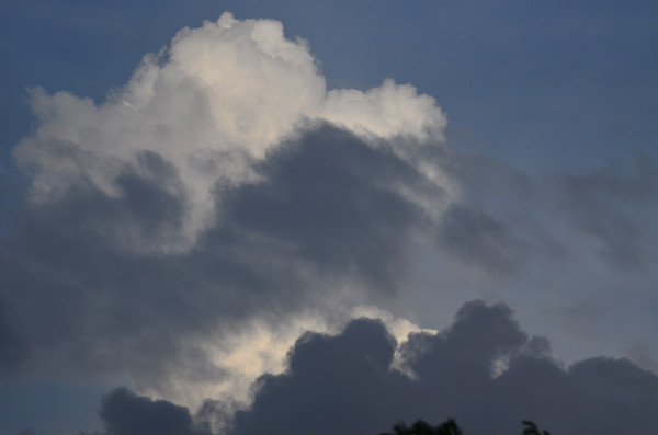 �����ܲ������