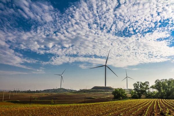 �����е����