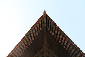 ʹĽ