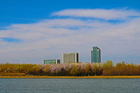 ¥����¥����