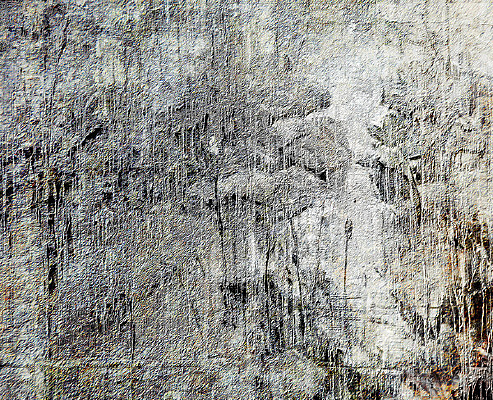 ���鲼����