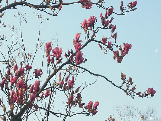 ����¶��