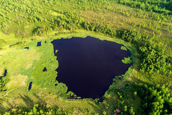 ���˰���������  