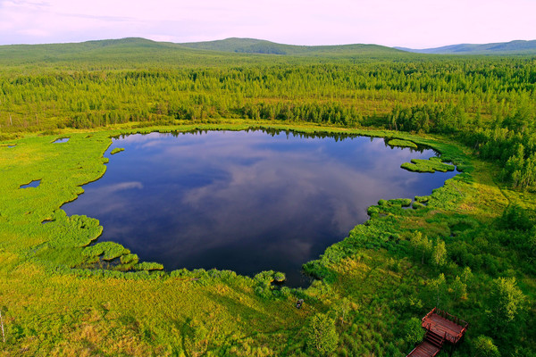 ���˰���ɭ�ֺ�  