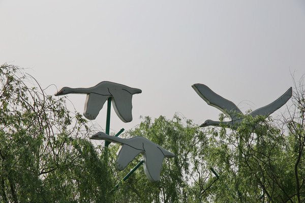 ���з����ҰѼ����