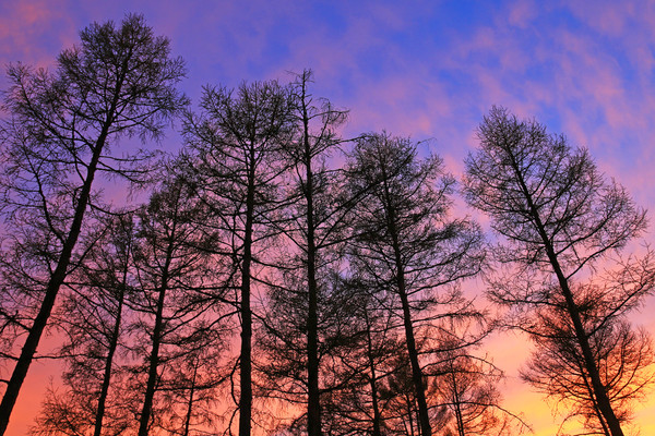 ����Ϧ���羰 