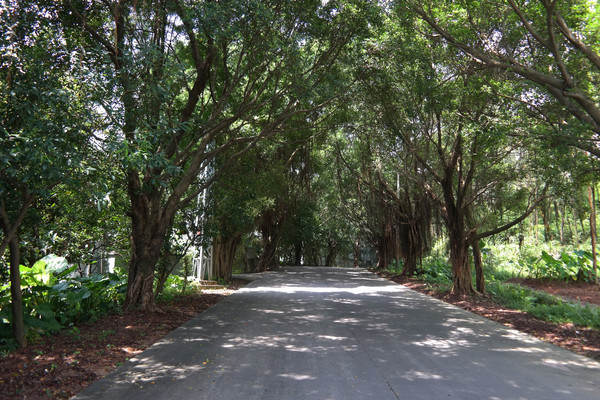 ���Ź���̨����·��