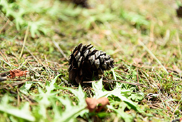 �����ɹ�