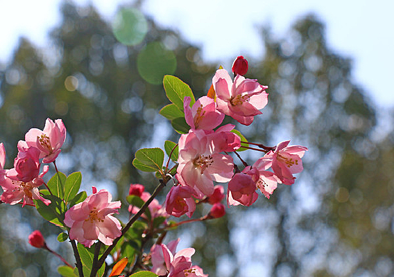 ���Ļ������Ӱ