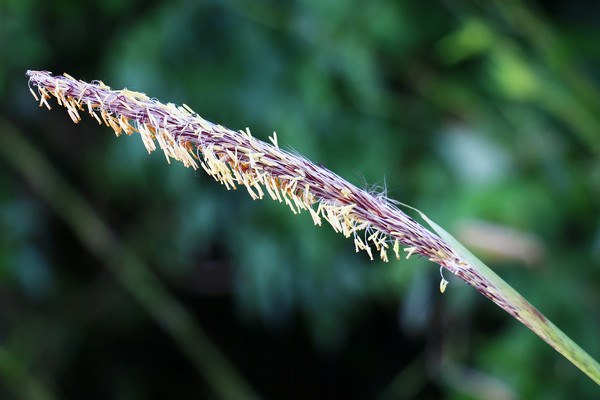 é�ݻ�������Ӱͼ