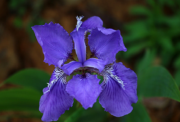 �β��������Ӱͼ