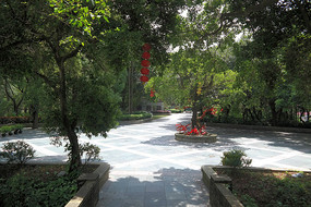 ���Ź���̨��԰���