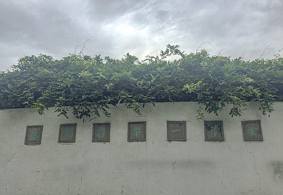 ׾��԰��Χǽ