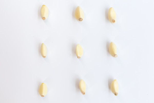 ��ɫ���������