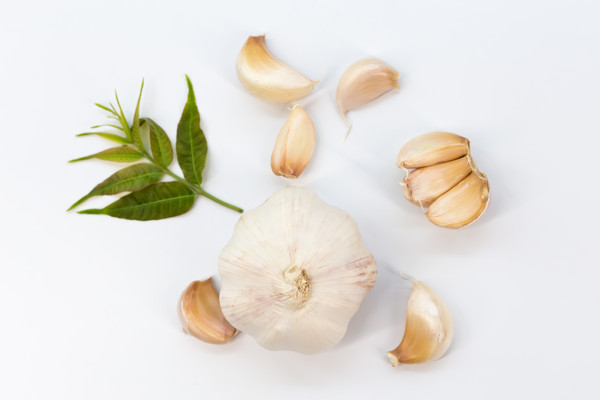 ��ɫ�����µĴ���