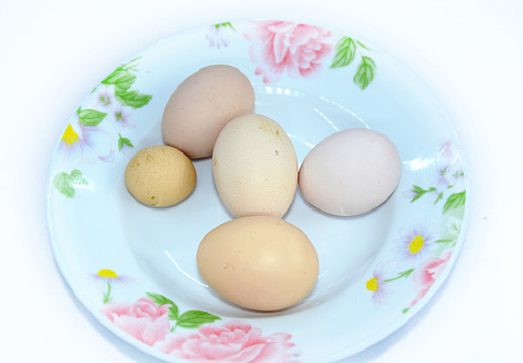 ��С��һ�ļҼ���