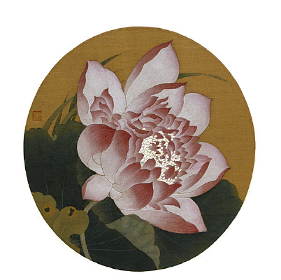 �����ɻ�