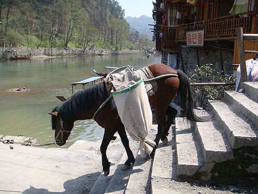 ��˹ų����л���