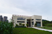 Ѳݵ