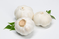 ƽ�İ�ɫ�����Ĵ�������