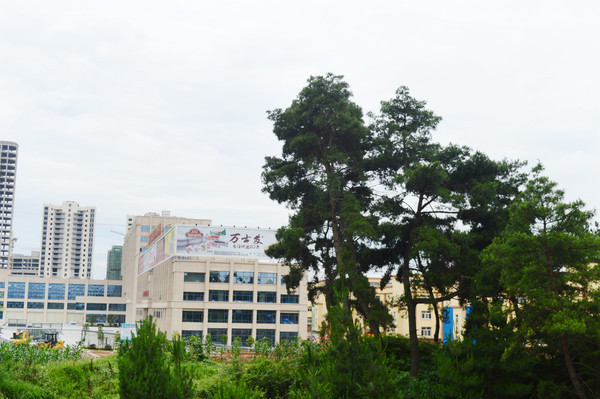 �����͸�¥