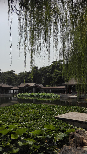 �й���ɻ���