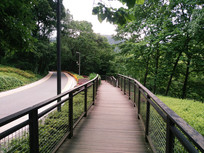 ��·������