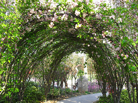 ������Ƹ���ͼƬ