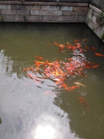 ���Ͻ���