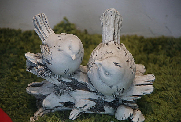 ʯ��һ��ϲȵ