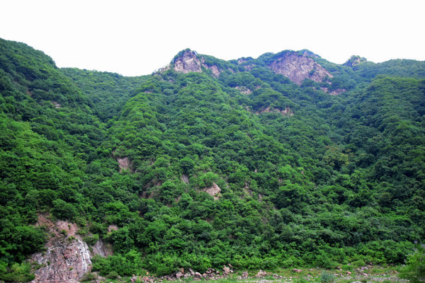 �ļ���ɽ��