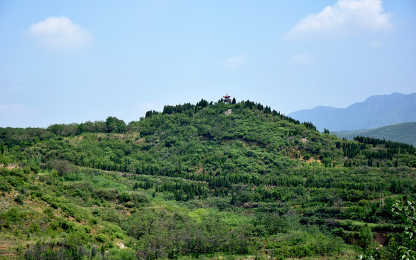 ���̵�ɽ��ֲ��