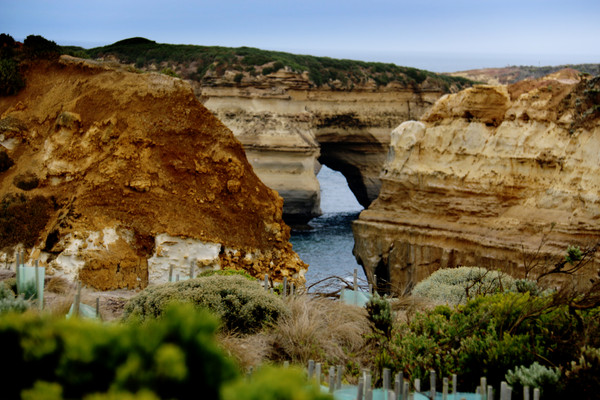 �Ĵ�����ī��������·