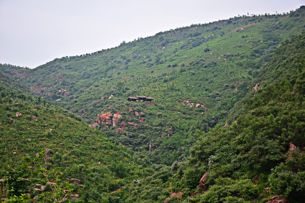 ��ɽ����ͤ