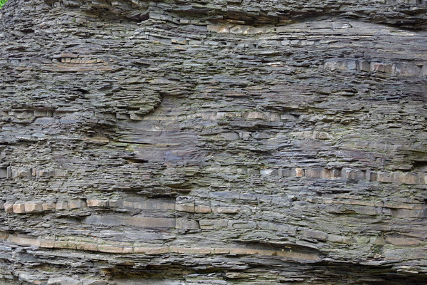 ҳ����������ͼƬ