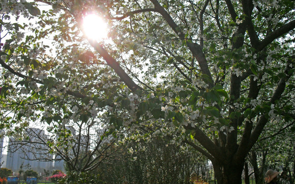 �������Ļ�������