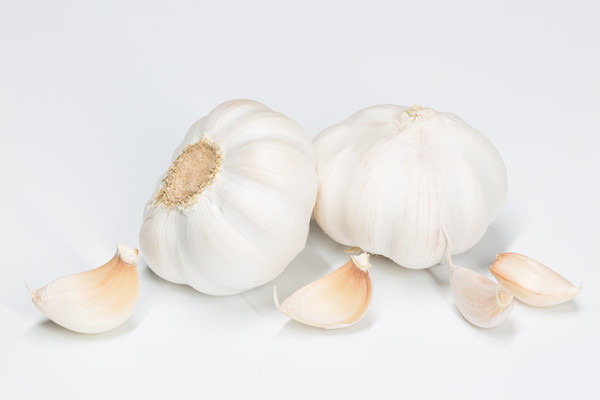 ���������ڰ�ɫ����