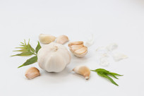 �����Ҷ��