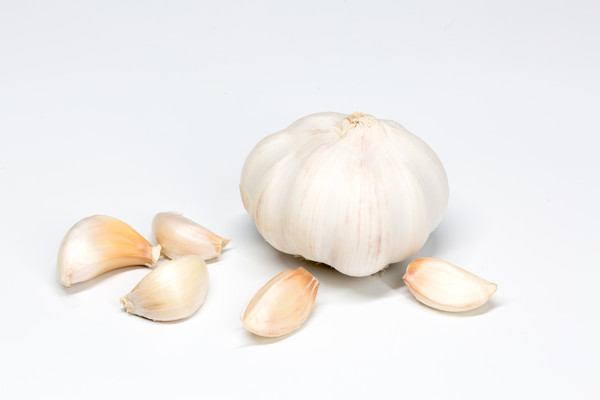 �����ڰ�ɫ����