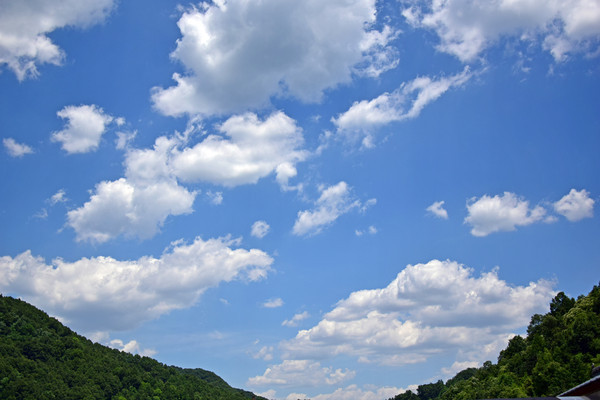 ��������Ʋʾ���