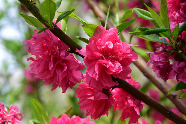 �����һ���Ӱ